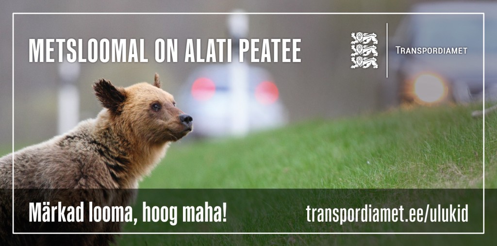 Karu - metlsoomal on alati peatee.