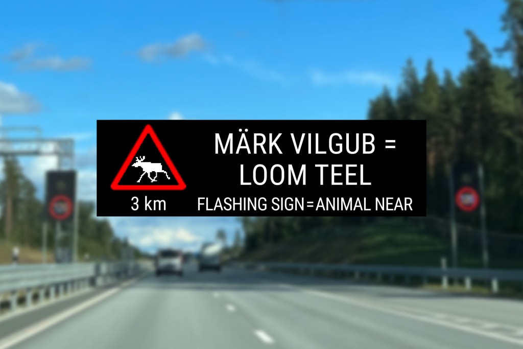 TRAM_Loom_teel.jpg